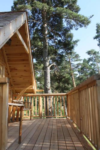 cabane lodge domaine du lac chambon