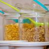 sunbury bed and breakfast