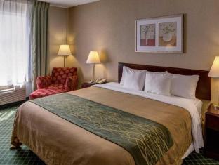 Comfort Inn College Park North,Beltsville>>Baileys Crossroads,3 star