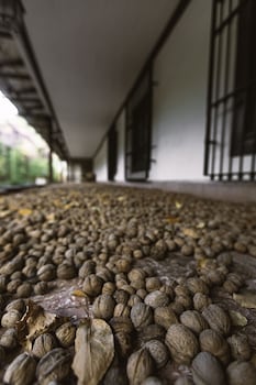 casona el resguardo solo adultos