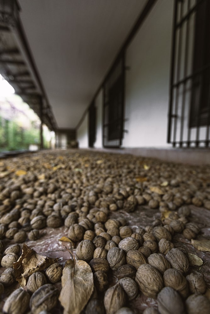 casona el resguardo solo adultos