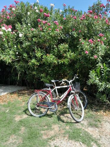 lefkada