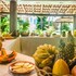 pousada villa bahia