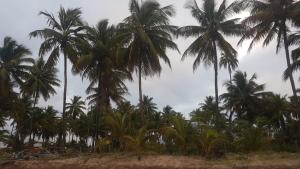 vila lua de taipu