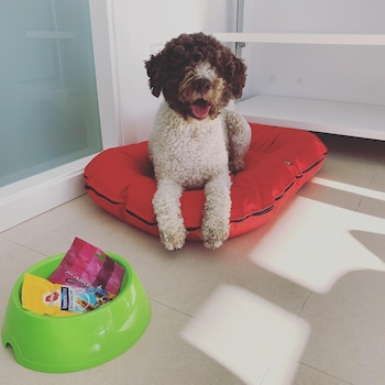 rusticae hotel mardenit