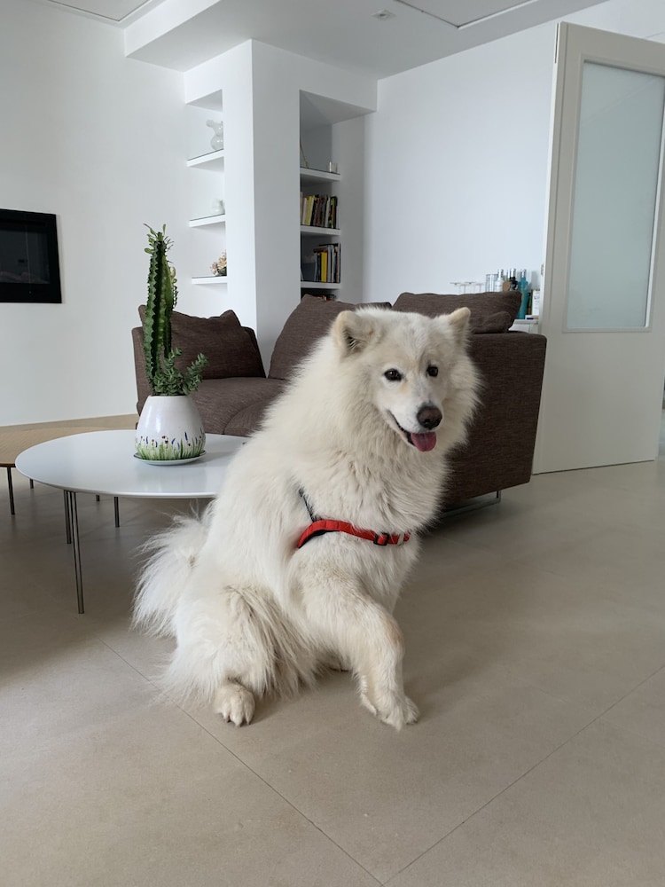 rusticae hotel mardenit