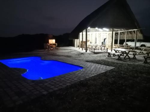 golden palms beach resort mozambique
