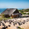 golden palms beach resort mozambique