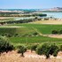 trapani