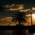 bari
