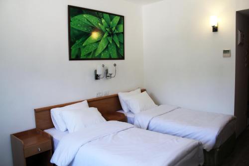 ararat hotel
