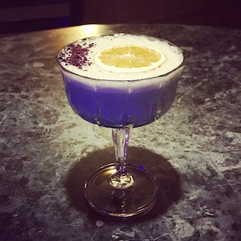 nuks executive suites