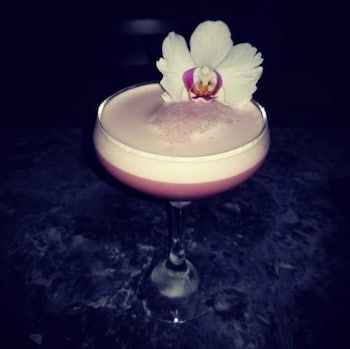 nuks executive suites