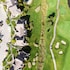 rivergrass 129