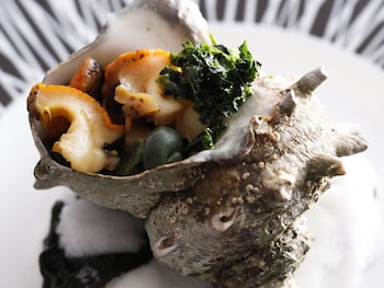 bishoku no kakurega provence