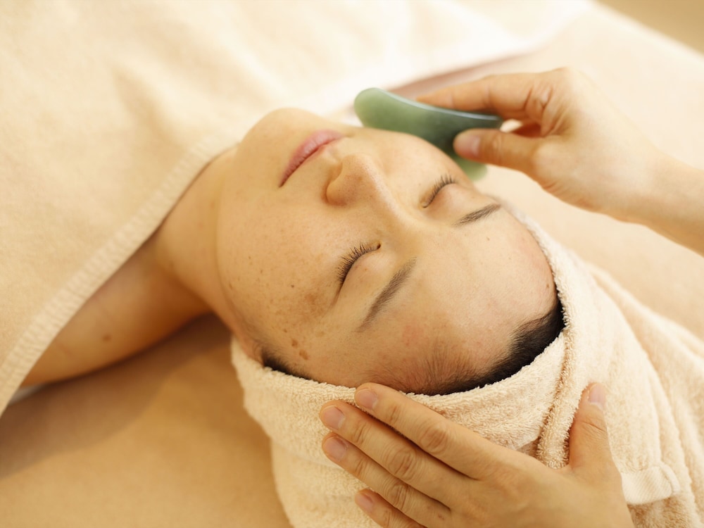 bishoku no kakurega provence