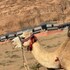 wadi rum natural life