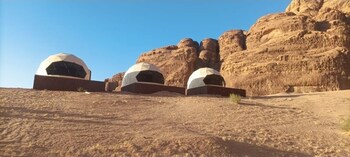 wadi rum natural life