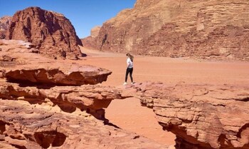 wadi rum natural life