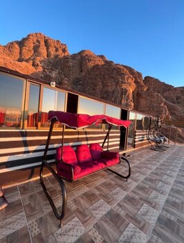 wadi rum natural life