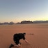 wadi rum star wars camp