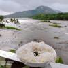 The Anchorage Athirapilly Resort,,3 star