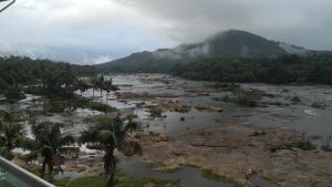 the anchorage athirapilly resort