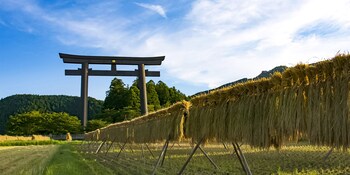 shirahama