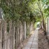 sperlonga