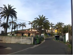 valle gran rey