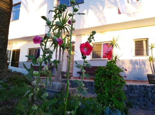 pension amparo las hayas