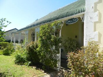 montagu
