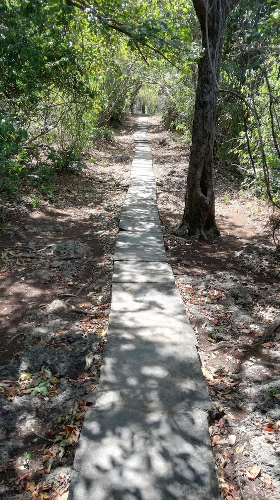 travellers paradise diani hostel