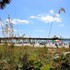 fort myers beach