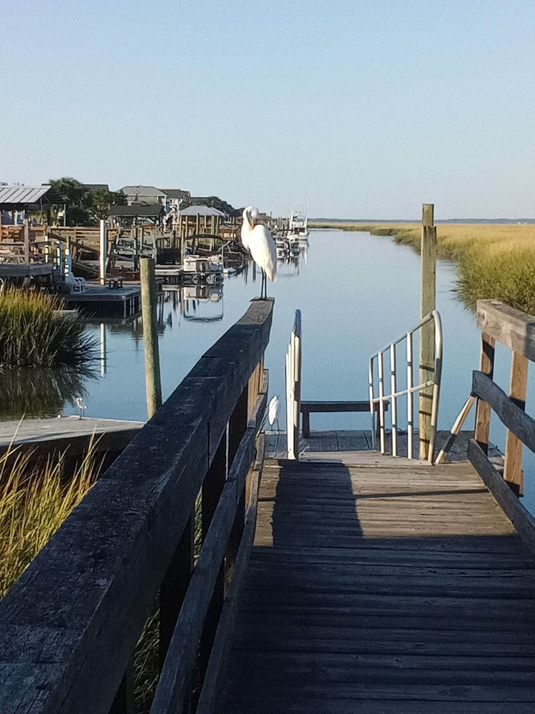 murrells inlet