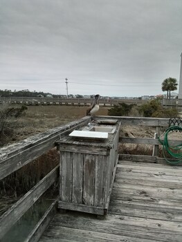 seawatch inn at the landing
