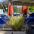 logis hotel restaurant solenca