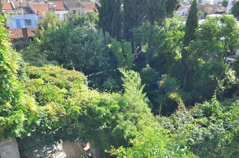 olea boutique hotel