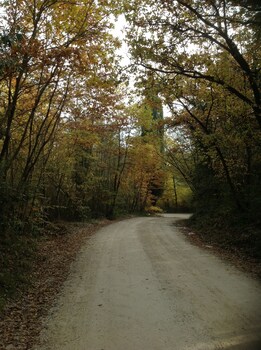 la canonica di san michele
