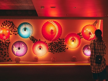 ooedo onsen monogatari premium shirahama gyoen