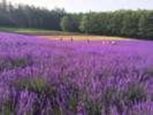 Spa And Hotel Resort Furano Laterre,,3 star