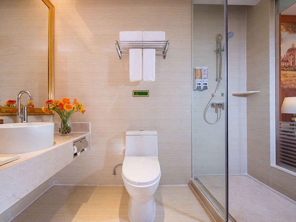 vienna hotel guangdong foshan dali songgang center