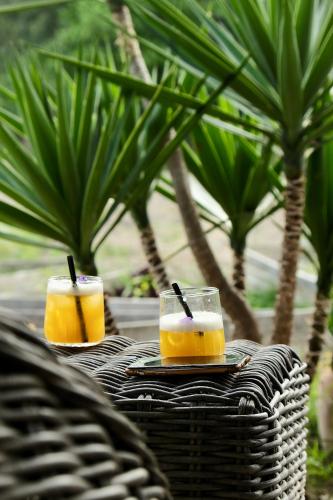 yucca house gokova