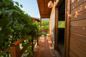 yucca house gokova