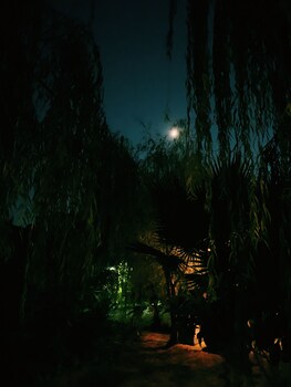 yucca house gokova
