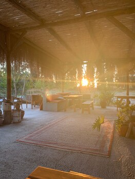 yucca house gokova