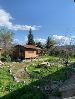 yucca house gokova