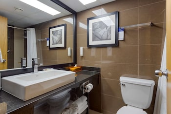 best western plus village park inn