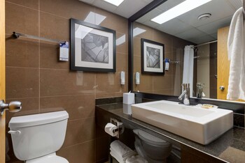 best western plus village park inn