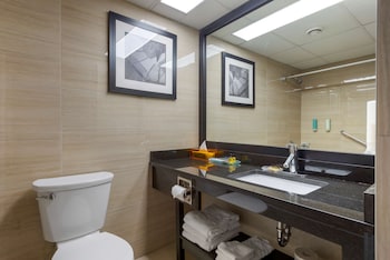 best western plus village park inn